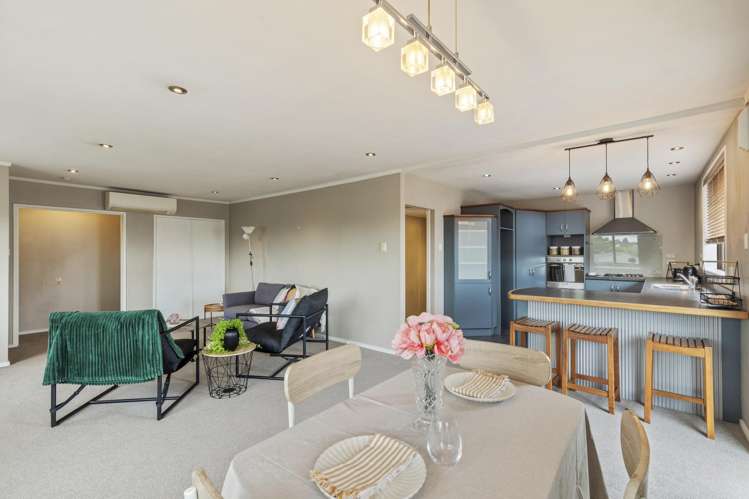 234 Carrington Street Vogeltown_14