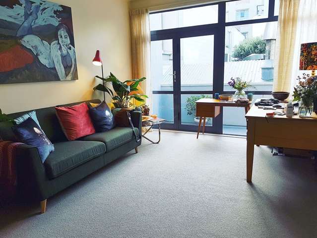 Fully Furnished Warm Sunny Apartment