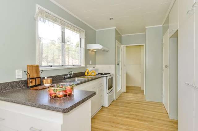 66 Captain Scott Road Glen Eden_1