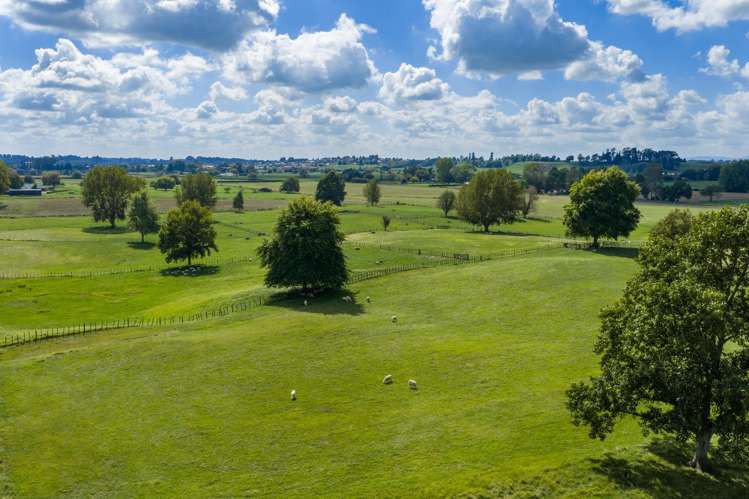 81 McGhie Road Te Awamutu_7