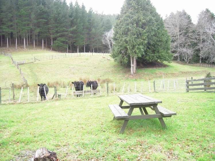 3945 Ngahape Road Ngahape_7