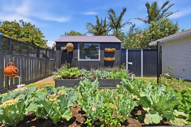 11 Reef Avenue Papamoa_10