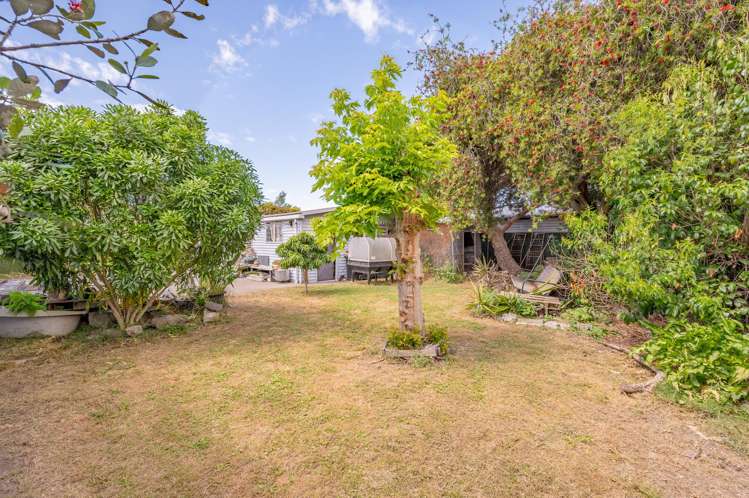 9 Skerrett Crescent Tamatea_6