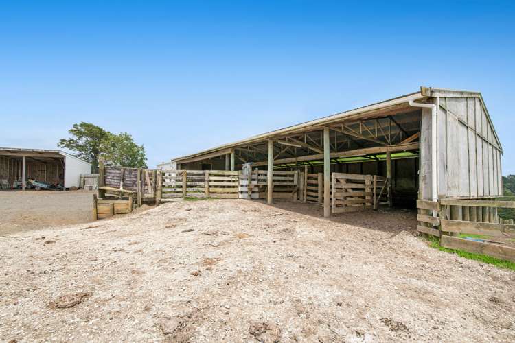 85 Jordan Road Kaukapakapa_19