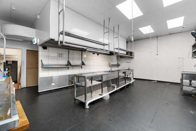 20 Alma Street Hamilton Central_3