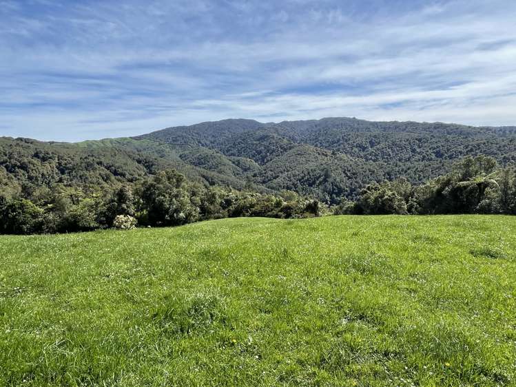 Pekanui Road Puketotara_9