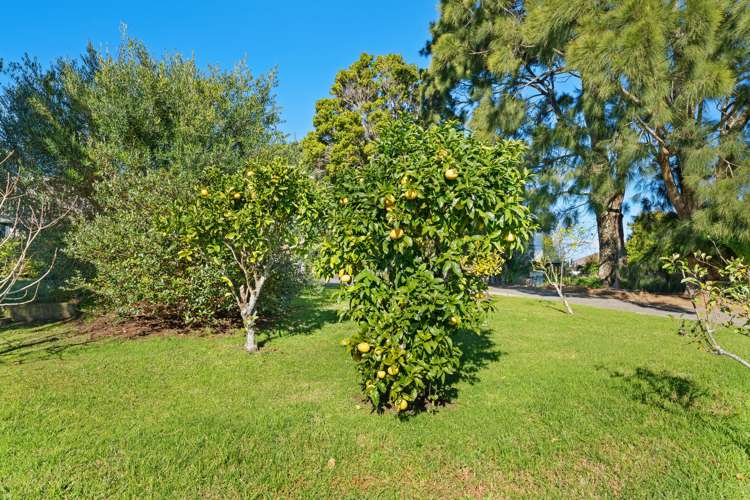 40 Korora Road Oneroa_44