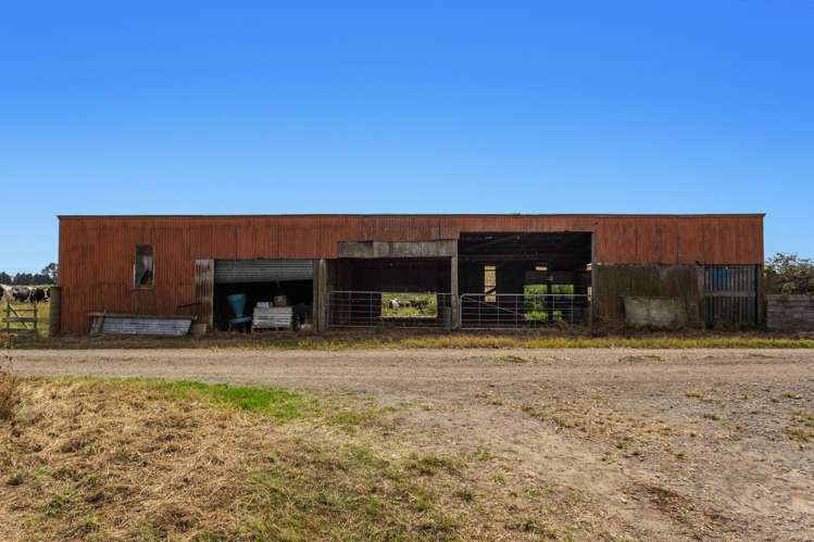 379B Powdrell Road Awakeri_21