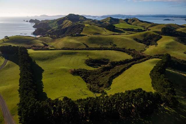 Lot 4 Mataka Station Bay Of Islands_2