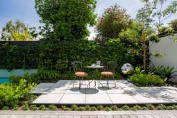 Urban oasis: An inner-city courtyard design