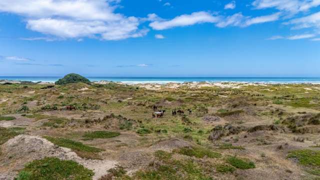 Lots 1-3 Hukatere Road Pukenui_3