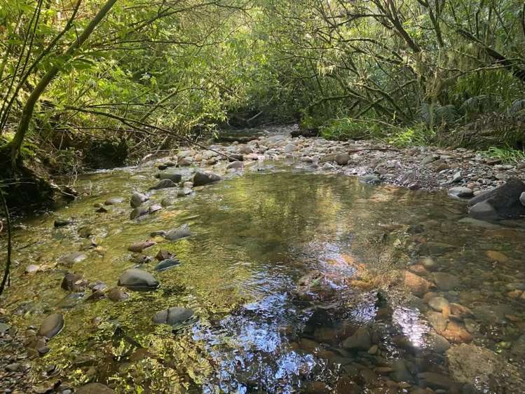 774 Atarau Road Atarau_19