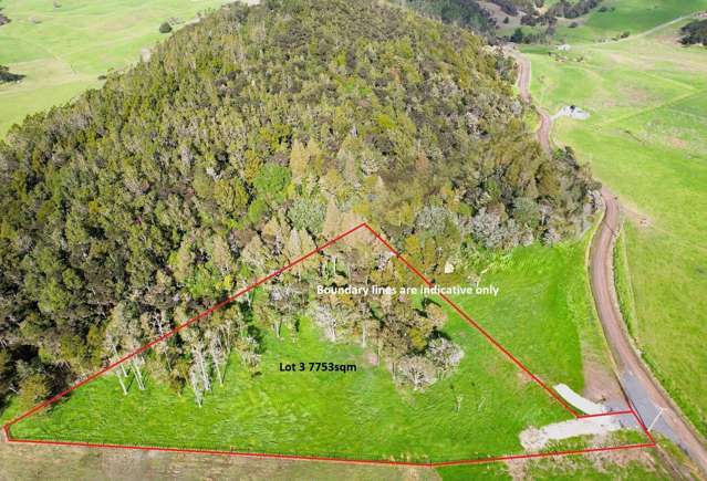 Lot Lot 3 Sills Road Dargaville_4