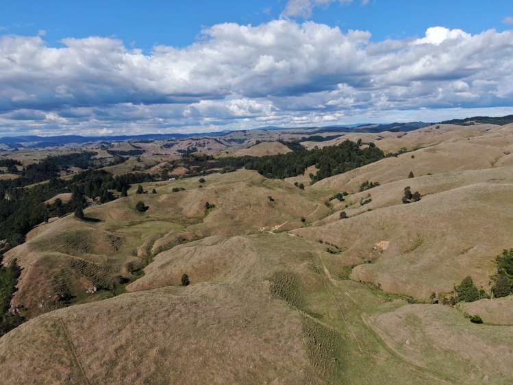 1494 State Highway 4 Aria_6