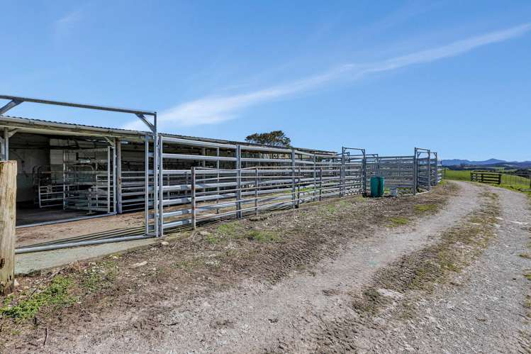 144 Poyner Road Matakohe_14