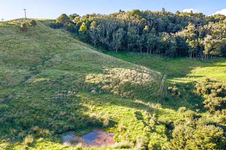 61A Porter Road Paparoa_12