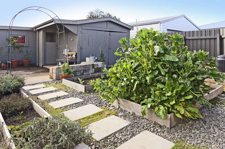 809 Gordon Road Raureka_13