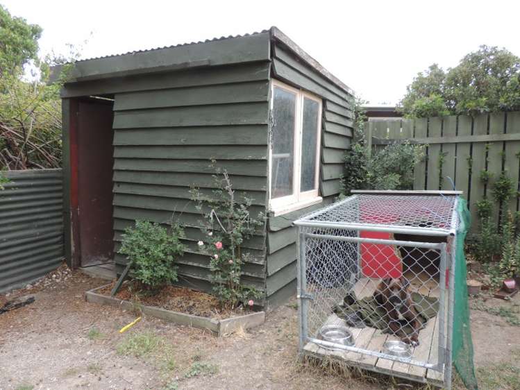 28 Ventry Street Alexandra_16