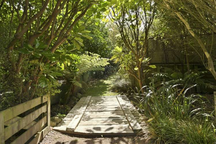 132 Maui Pomare Road Nikau Valley_41