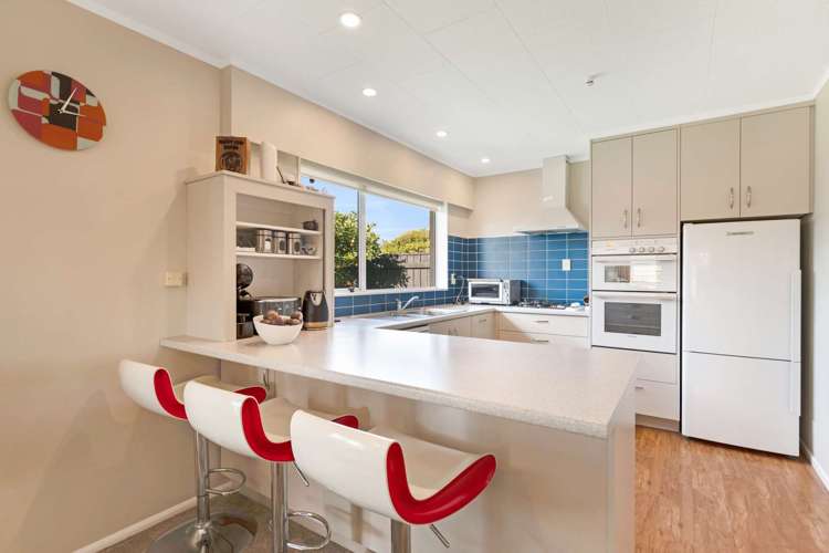 31 Burn Street Levin_5