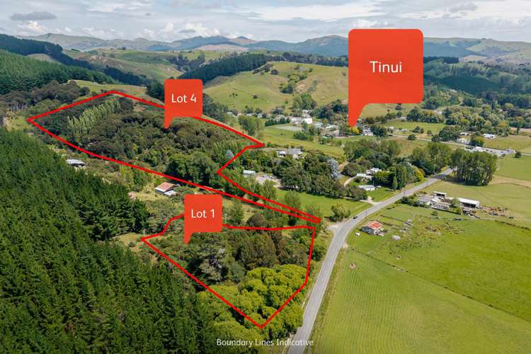 Lot 1, 4107 Masterton Castlepoint Road_4