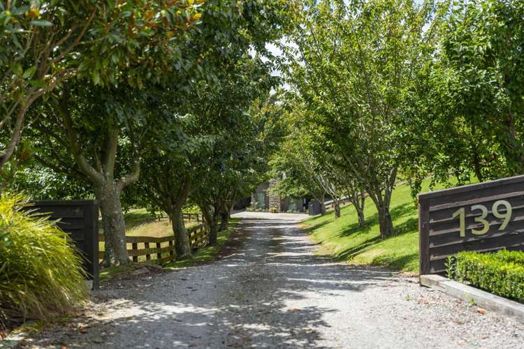 139 Palmer Mill Road Wairakei_20