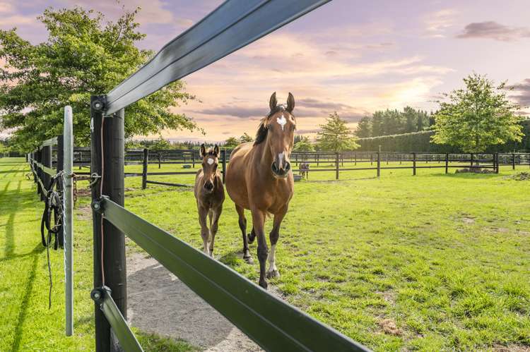 919 Hoskyns Road West Melton_28