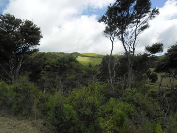 379b Cowes Bay Road Waiheke Island_17