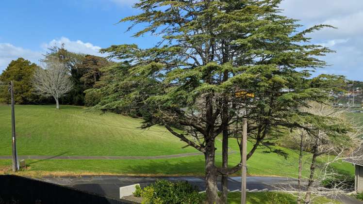 6/10 Hutchinsons Road Auckland_7