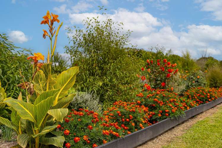 139 Miro Street Manunui_14