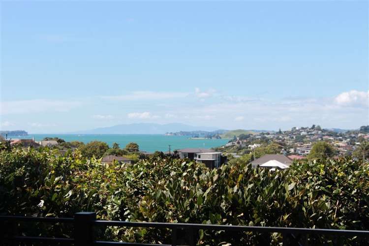 40 Dudley Road Mission Bay_18