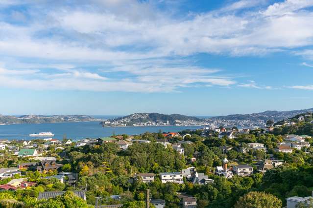 97 Madras Street Khandallah_1