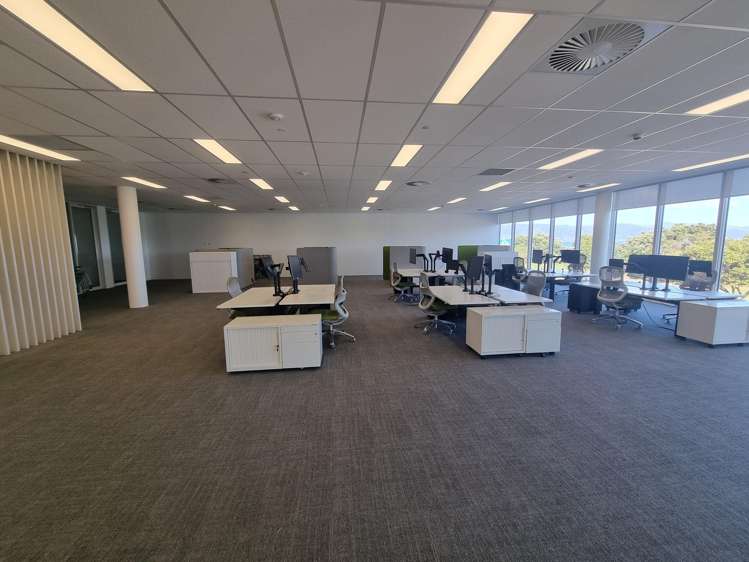 81 The Esplanade Petone_5