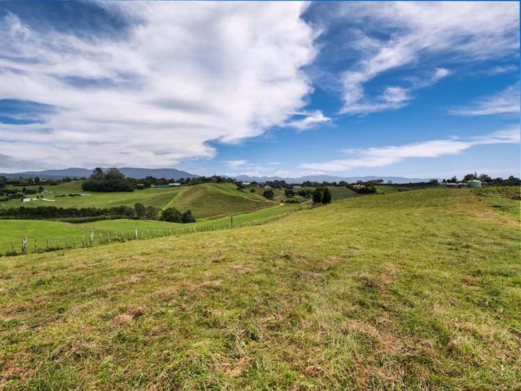 371 Esdaile Road Whakamarama_9