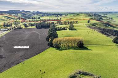 463 Dog Kennel Road_4