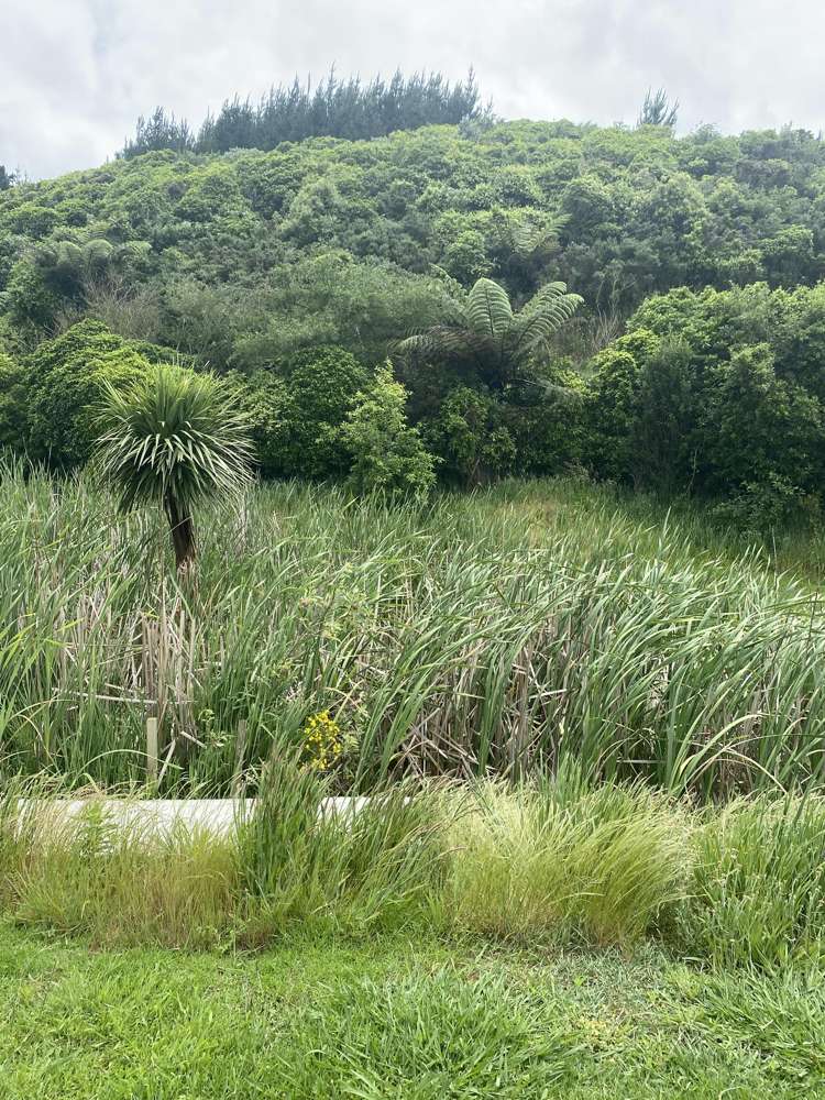 167 Wilson Road Kakaramea_16