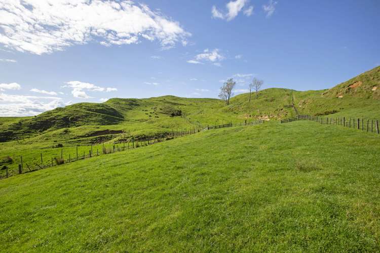 3099 State Highway 4 Te Kuiti_2