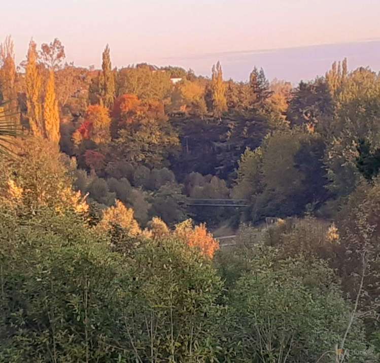 22 Chaucer Street Highfield_7