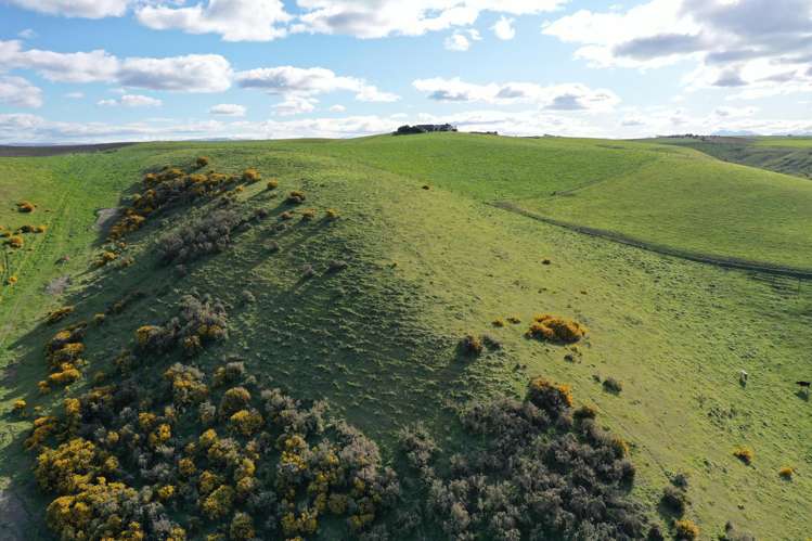 Lot 2 & 3 207 Georgetown-Pukeuri Road Oamaru_8