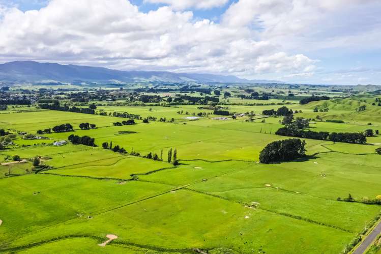 168 Range Road Woodville_11