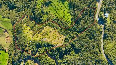151B SH25 Tairua-Whitianga Hwy_2