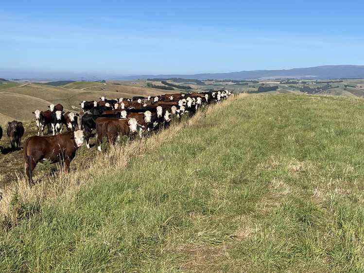 186 Murray Road Lawrence_14