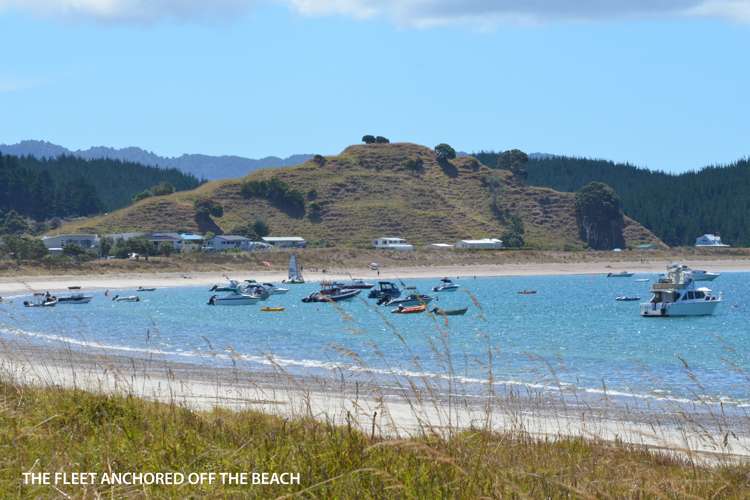 638 Whangaruru North Road Russell Surrounds_21