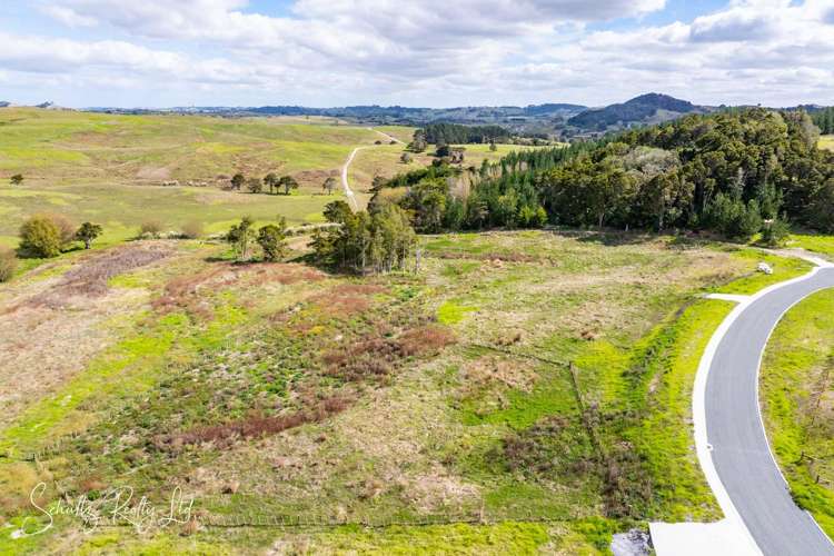 Whakapirau Road Maungaturoto_9