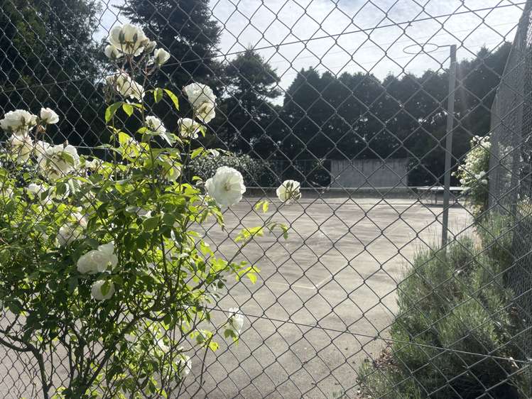 768 Seadown Road Seadown_15