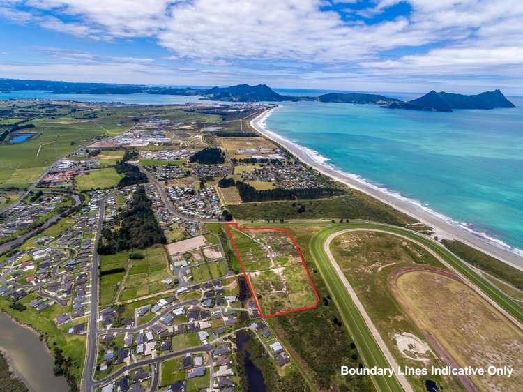98 Peter Snell Road Ruakaka_6
