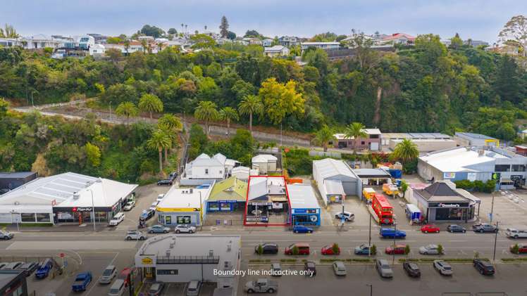 29 Carlyle Street Napier South_3