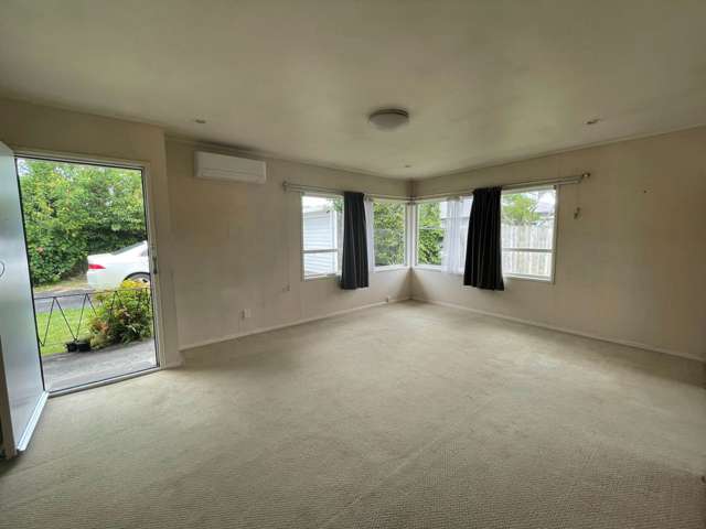 3/13 Brixton Road Mt Eden_1