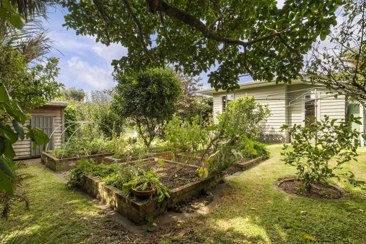 21 Hamon Avenue Three Kings_17