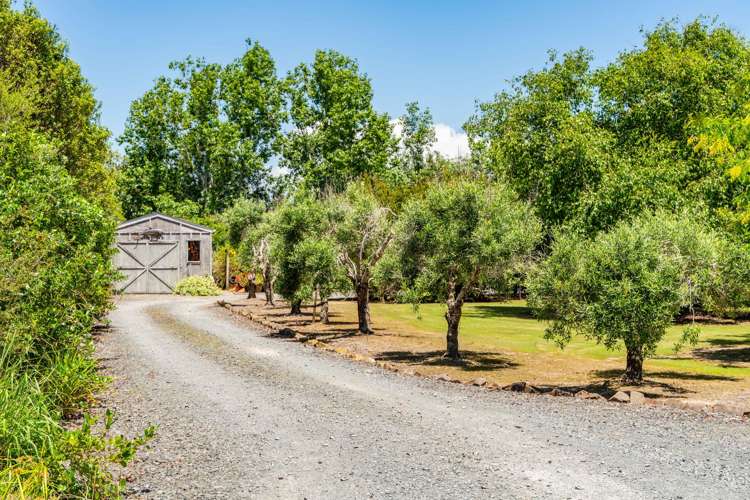 47 Gumdiggers Lane Mangawhai Heads_26